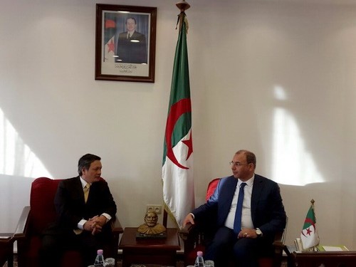 Vietnam promotes business links with Algeria - ảnh 1